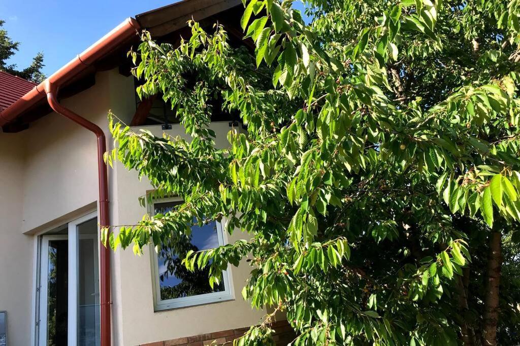 'New' Sunkissed Villa On The Old Hill Balatonalmádi Exteriör bild